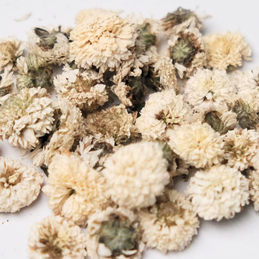 Chrysanthemum Flower Tea