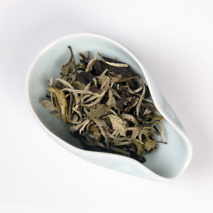 Bai Mu Dan White Tea