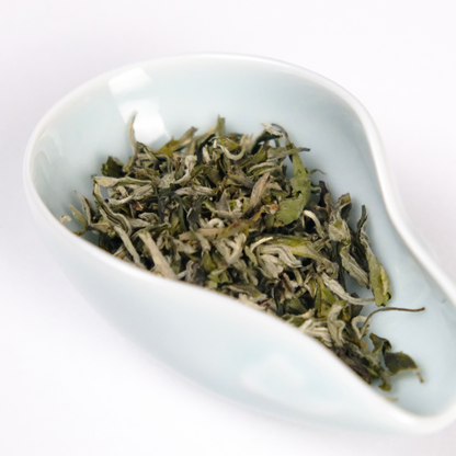 First Flush Green Tea from Mao Feng