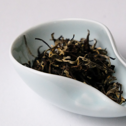 Winter Gem White Tea