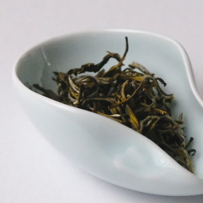 Darjeeling Summer Black Tea